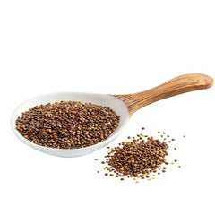 Alfalfa Seeds – Whole