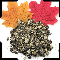 Angelica Root  Pack