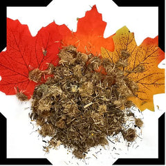 Arnica Flower Pack