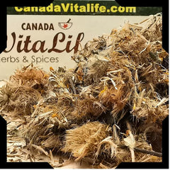 Arnica Flower Whole