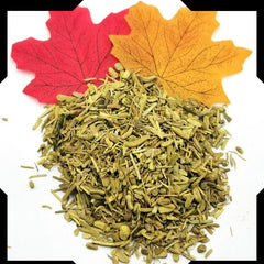 Barberry Root Bark Tea Trial Pack | Cut and Sifted