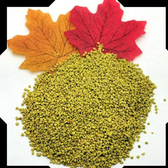 Bee Pollen Granules Trial Pack