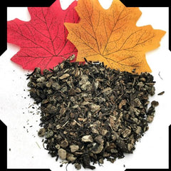 Black Cohosh Root Tea Trial Pack | Cut and Sifted