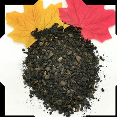 Black Walnut Hull Tea Trial Pack | Cut and Sifted