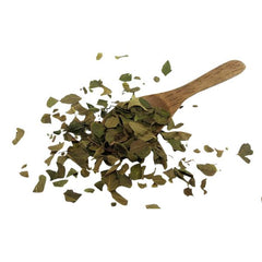Black Walnut Leaves