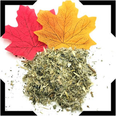 Blessed Thistle Pack