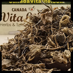 Blue Cohosh Root – Cut & Sifted