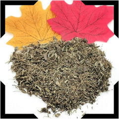 Blue Cohosh Root Tea Trial Pack | Cut and Sifted