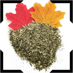Boneset Herb Tea Trial Pack | Cut and Sifted
