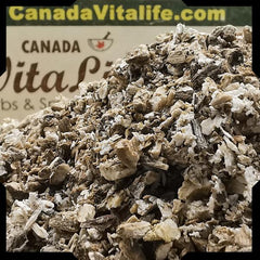 Burdock Root