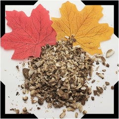 Burdock Root Tea Trial Pack | Cut and Sifted
