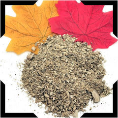 Calamus Root Trial Pack | Cut and Sifted