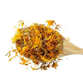 Calendula - Marigold Flower