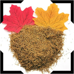 Cat’s Claw Bark Tea Trial Pack | Cut and Sifted