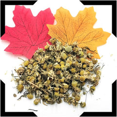 Chamomile Flower Tea Trial Pack