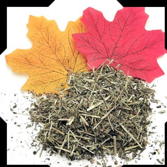 Chanca Piedra Tea Trial Pack | Cut and Sifted