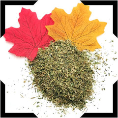 Chickweed Tea Trial Pack | Cut and Sifted