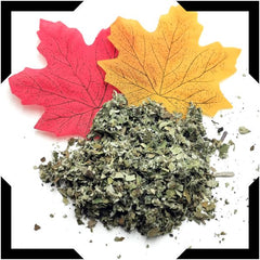 Coltsfoot Tea Trial Pack | Cut and Sifted