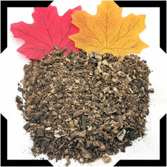 Dandelion Root Tea Trial Pack | Cut and Sifted