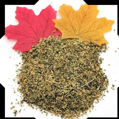 Elderflower Tea Trial Pack