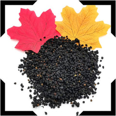 Elderberry Pack