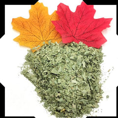 Eucalyptus Leaves Tea Trial Pack | Cut and Sifted