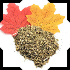 Feverfew Herb Tea Trial Pack | Cut and Sifted