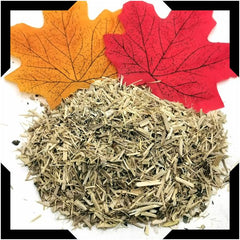 Ginseng Root - Seberian Pack