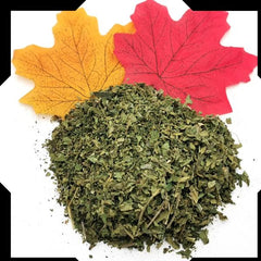 Gymnema Leaves Pack
