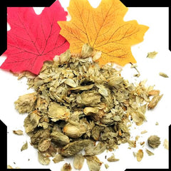 Hops Flower Tea Trial Pack