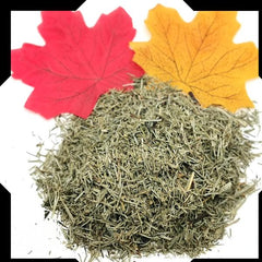 Horsetail Tea Trial Pack | Cut and Sifted