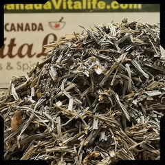 Horsetail (Shavegrass) - Cut & Sifted