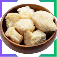 Lion's Mane Powder