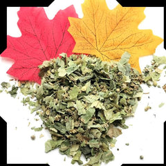 Linden Leaves Tea Trial Pack - Cut and Sifted