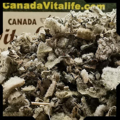Mullein Leaves – Cut & Sifted