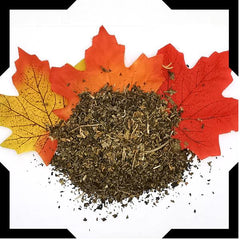 Papaya Leaves Tea Trial Pack - Cut and Sifted