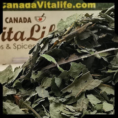 Sassafras Leaves