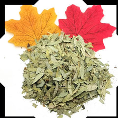 Senna Leaves Trial Pack - Cut and Sifted