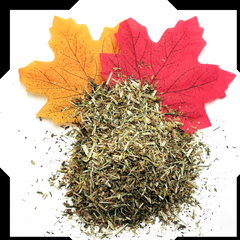 St. John’s Wort Tea Trial Pack - Cut and Sifted