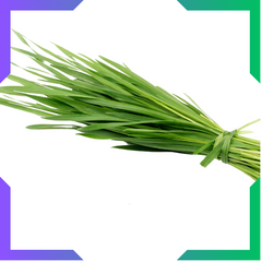 Wheat Grass Powder