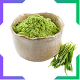Wheat Grass Powder