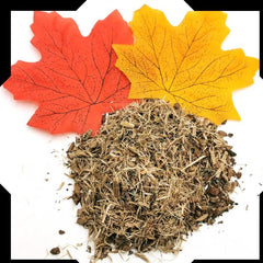 White Oak Bark Trial Pack - Cut and Sifted