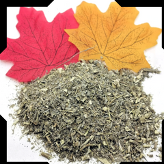 Wormwood Herb Trial Pack - Cut and Sifted