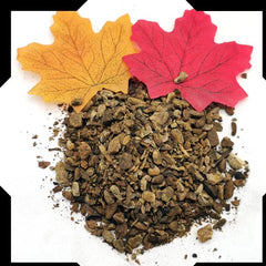 Yellow Dock Root Tea Trial Pack - Cut and Sifted