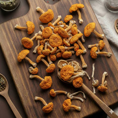 Dried Blaze Mushroom (Agaricus blazei) for traditional culinary use - CanadaVitaLife