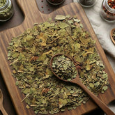 Mulberry leaves (Morus alba) for traditional botanical infusions and metabolic support.