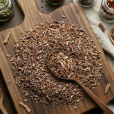 White Oak bark (Quercus alba) for traditional astringent botanical infusions.