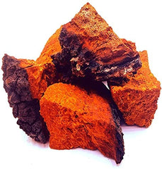 Canadian Chaga Mushrooms Chunks