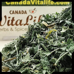 Alfalfa Leaves