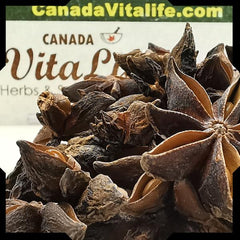 Anise Star